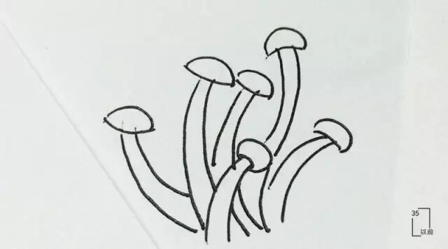 吃火锅必点菜，看看哪些是你爱吃的