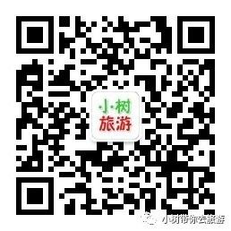 【小树推荐】张静初的大房子,人人想要的家,她活出了岁月静好的最