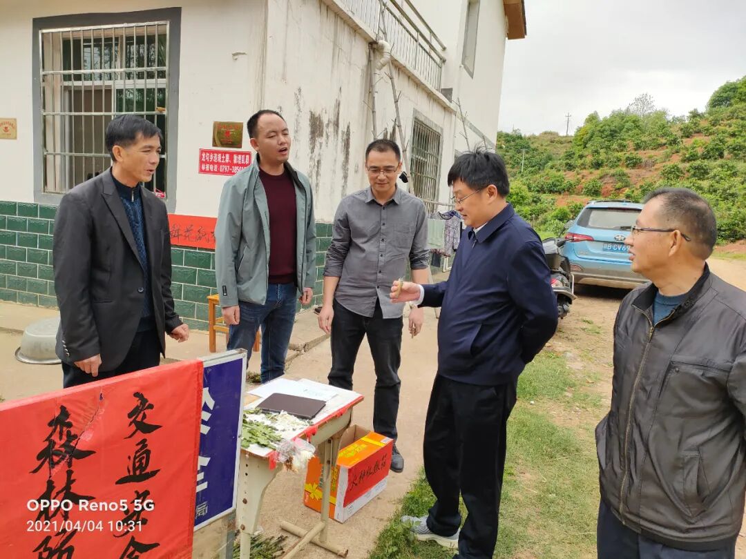 邓旺华对崇义县清明节期间森林防灭火工作进行明察暗访