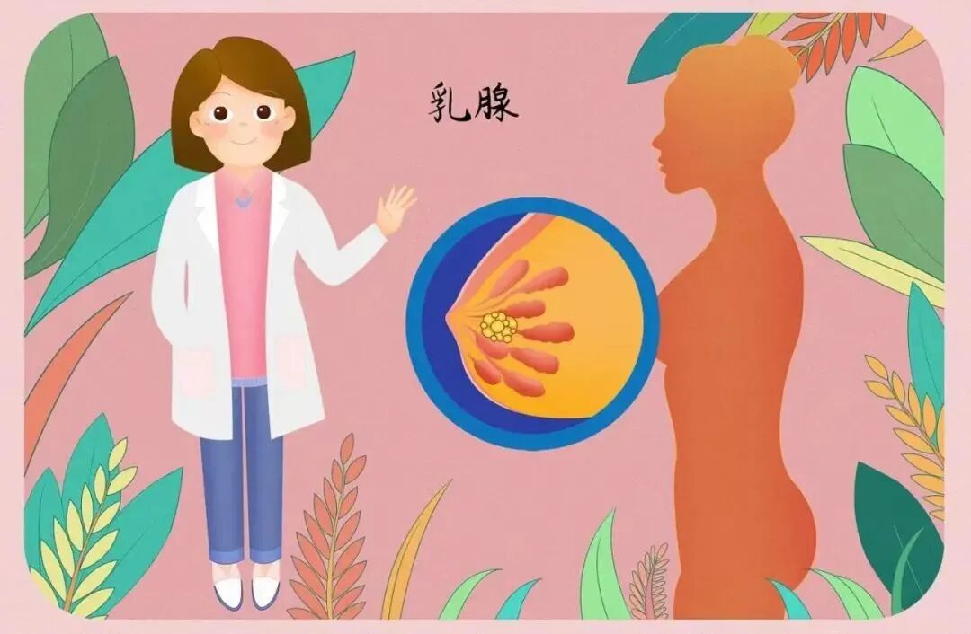 乳腺机为什么叫钼靶【科普】不可忽视的乳腺检查-乳腺钼靶_https://www.jmylbn.com_新闻资讯_第6张