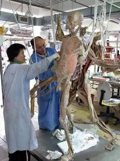 尸体工厂_死尸工厂_尸骨工厂电影