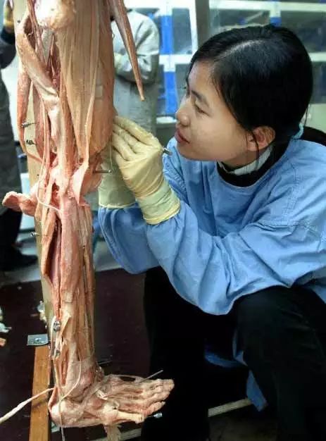 死尸工厂_尸骨工厂电影_尸体工厂