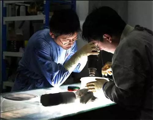 尸体工厂_尸骨工厂电影_死尸工厂