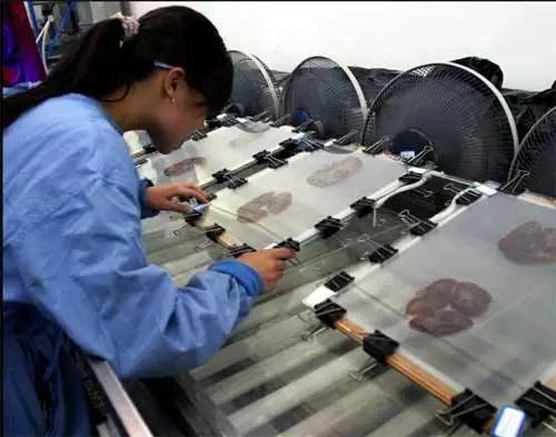 尸骨工厂电影_死尸工厂_尸体工厂