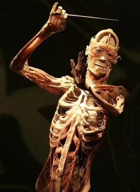 死尸工厂_尸体工厂_尸骨工厂电影
