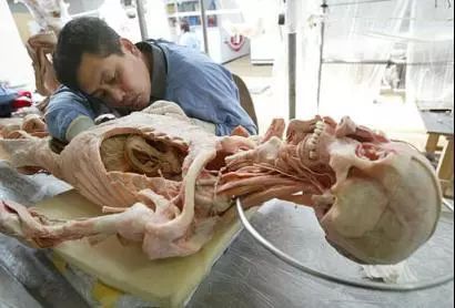 死尸工厂_尸体工厂_尸骨工厂电影