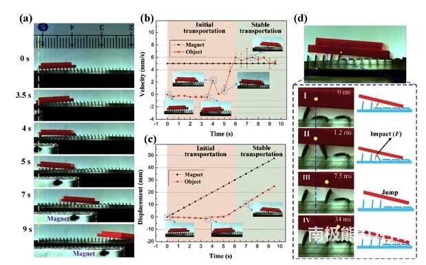 北理工：磁场驱动微板阵列表面实现定向输运的图2