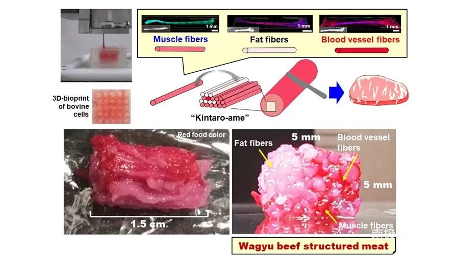食品3D打印技术及行业格局的图16