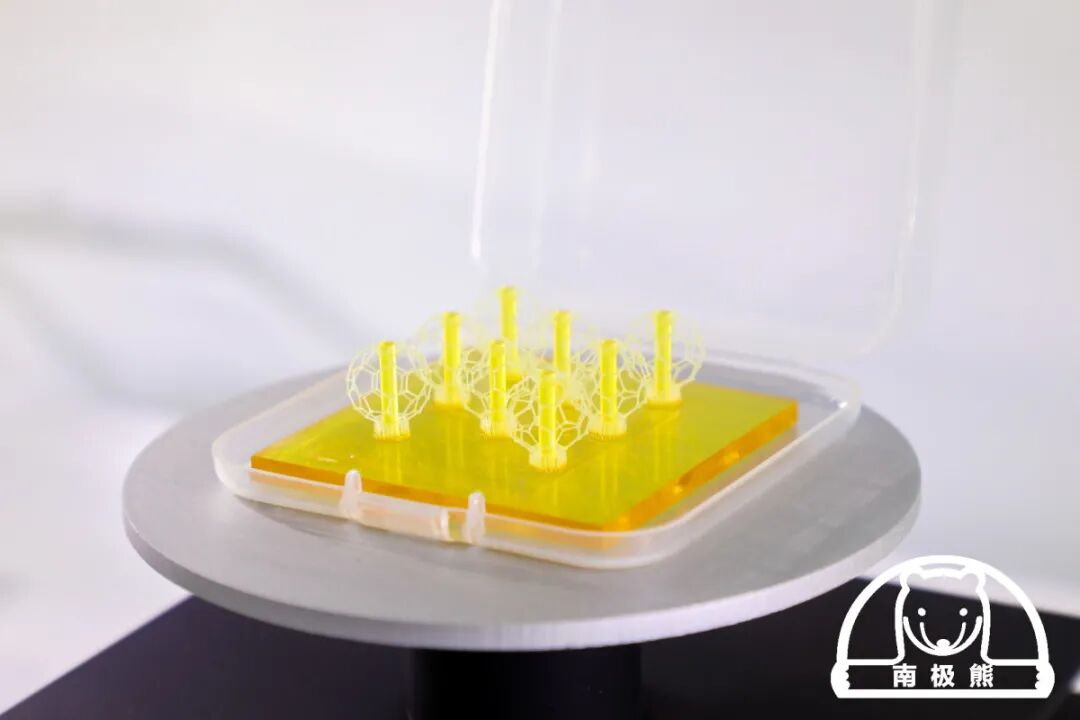 摩方超高精密3D打印系統microArch S240備受關注的圖3