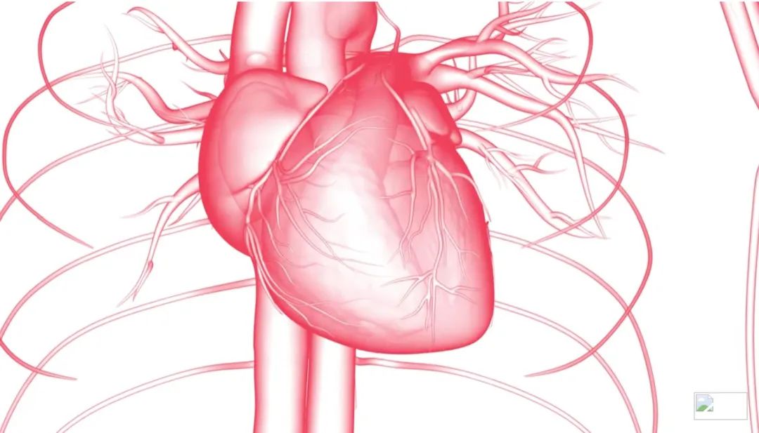 哈佛大学3D打印合成心脏瓣膜，可伴随儿童一起生长，减少手术次数的图8