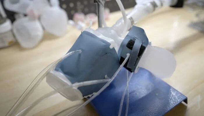 哈佛大学3D打印合成心脏瓣膜，可伴随儿童一起生长，减少手术次数的图7