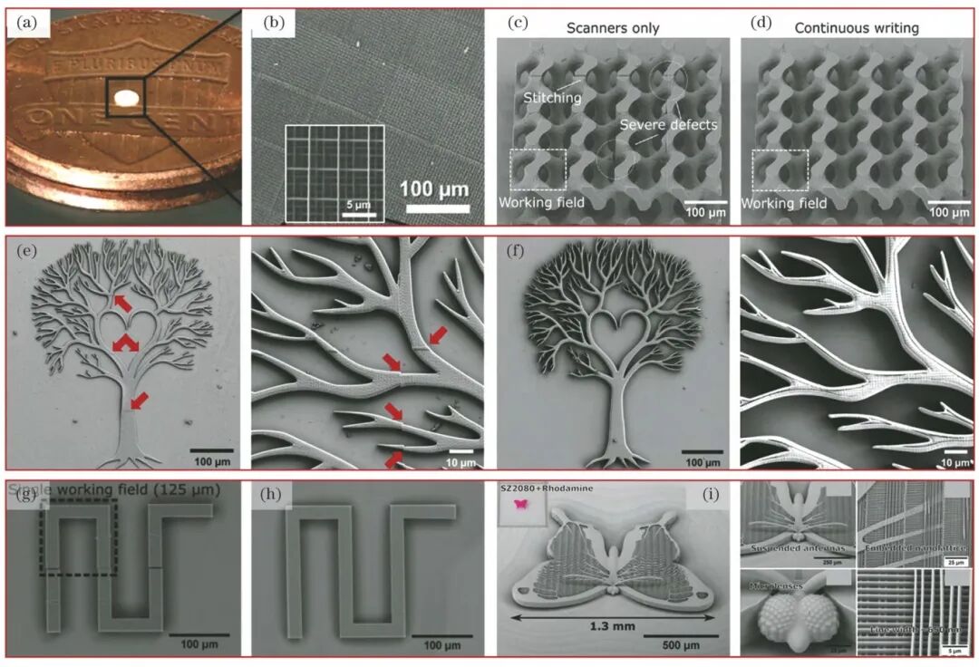 2万字干货：光固化微纳3D打印技术的发展现状与趋势的图20
