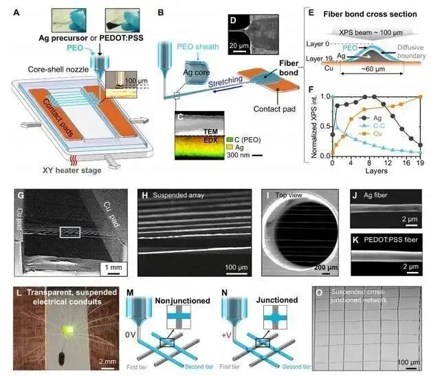 2万字干货：光固化微纳3D打印技术的发展现状与趋势的图1