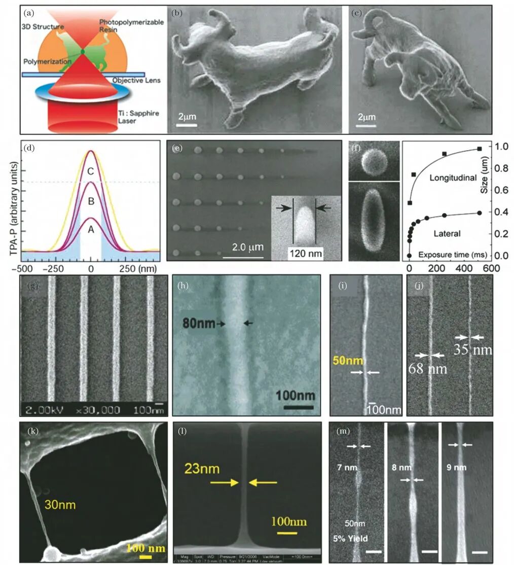 2万字干货：光固化微纳3D打印技术的发展现状与趋势的图10