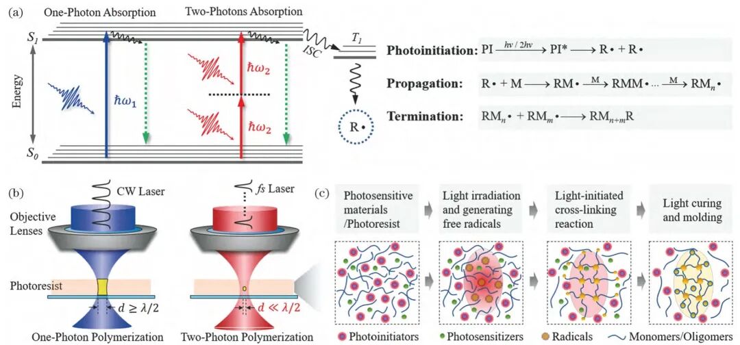 2万字干货：光固化微纳3D打印技术的发展现状与趋势的图6