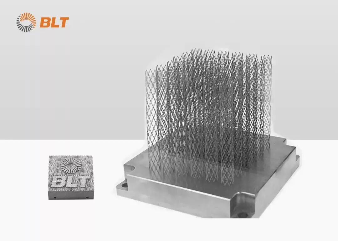 鎂合金3D打印多孔骨科植入物，鉑力特助力清華大學新材料研究的圖3