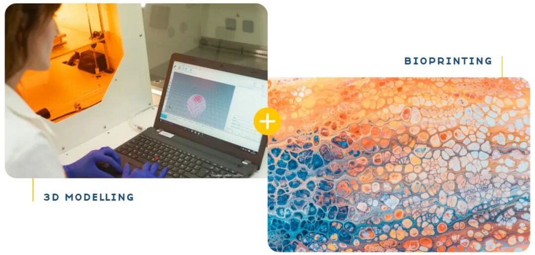 融资680万美元，Healshape用患者活体细胞3D生物打印乳房植入物的图3