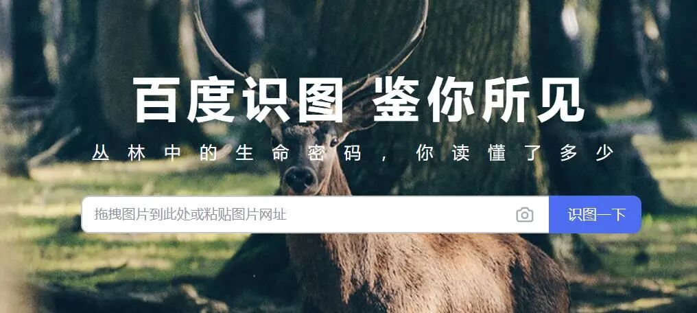 3D模型搜索引擎Thangs获得5600万美元C轮融资的图1