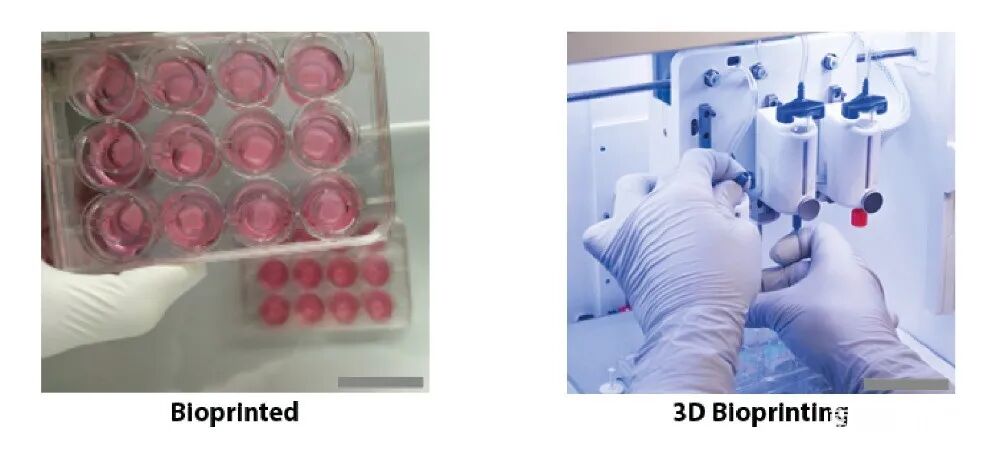 3D生物打印平臺(tái)治療結(jié)腸癌，CTIBIOTECH新技術(shù)的圖2