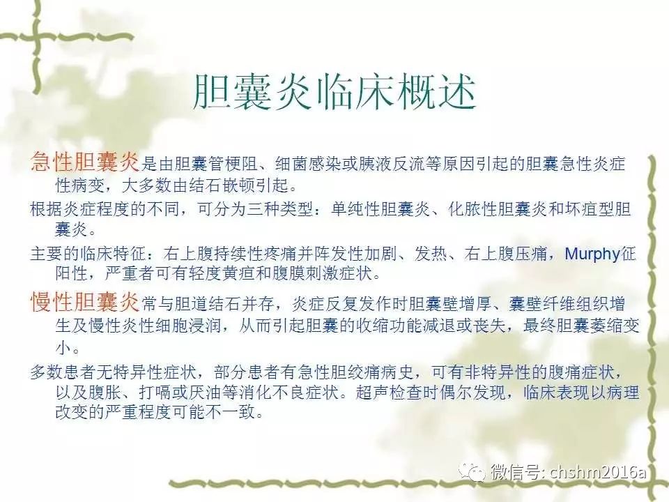 胆囊超声诊断图文