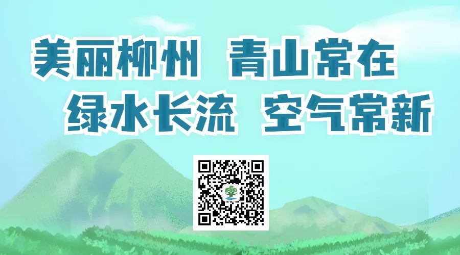 县区动态丨“垃圾分类,从我做起”——柳城生态环境局开展生活垃圾分类亲子共建活动 县区动态丨“垃圾分类,从我做起”——柳城生态环境局开展生活垃圾分类亲子共建活动
