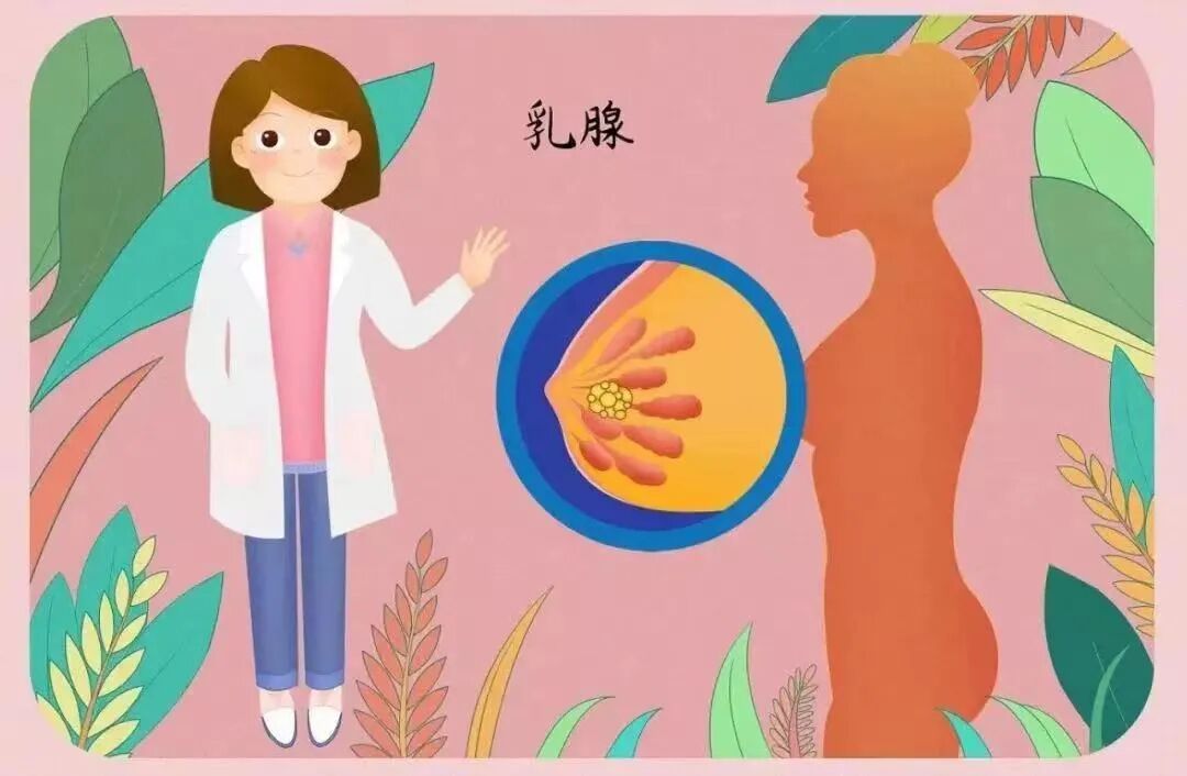 乳腺平板检查是什么不可忽视的乳腺检查——乳腺钼靶-上海聚慕医疗器械有限公司
