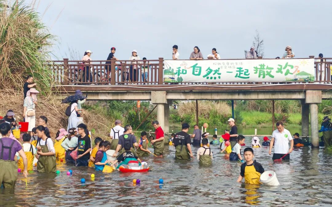 微信图片_2026-05-02_204150_905.jpg