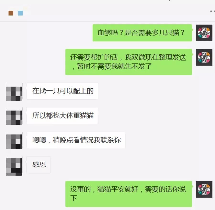 血型不同 切勿强溶 A型猫爸 B型猫妈 夭折小猫 猫咪有约 微信公众号文章阅读 Wemp