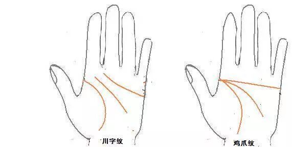 手相 鸡爪纹 凡事一把抓 一生波折 心情篇 微信公众号文章阅读 Wemp