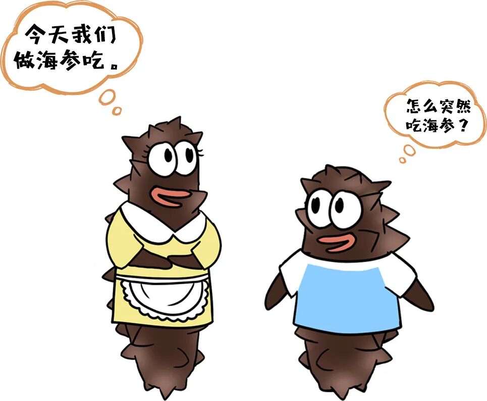 开学先开“参”，这等好物别错失！