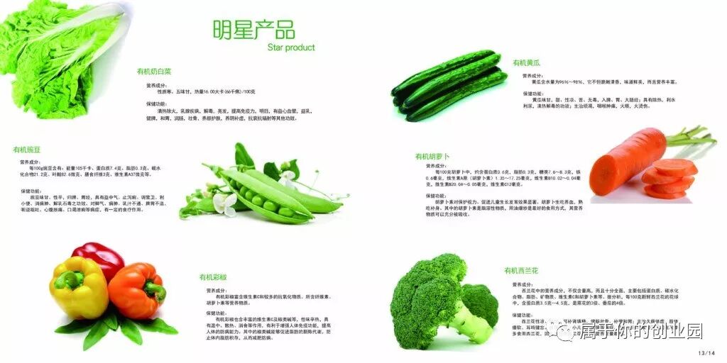 新奇特玩具创业项目_12个新奇特小本创业项目_小资本创业项目信息