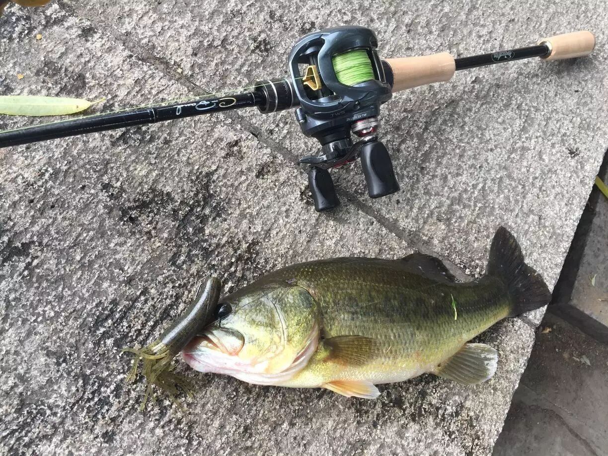 青岛路亚钓点指导,长假来青钓友必看