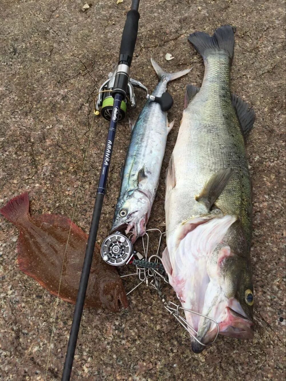 青岛路亚钓点指导,长假来青钓友必看