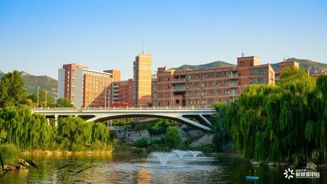 山东大学信息平台_s山东大学信息服务平台_山东大学信息服务大厅平台