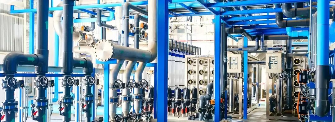 FA International.jpg