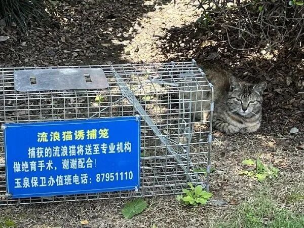 【爆笑】沙雕图笑到你抽风：我刚和椅子大战三百回合（组图） - 11