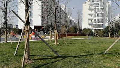 环城西路属于哪个区_环城西路_环城西路小学对应的初中