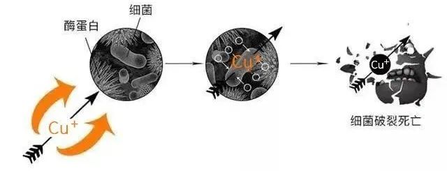 小白鞋救星來了！天天穿「新鞋」才不是夢 時尚 第27張