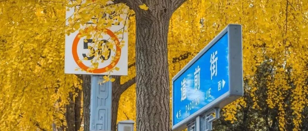 江苏无春秋？这波绝美“秋天限定”给苏州争了口气！