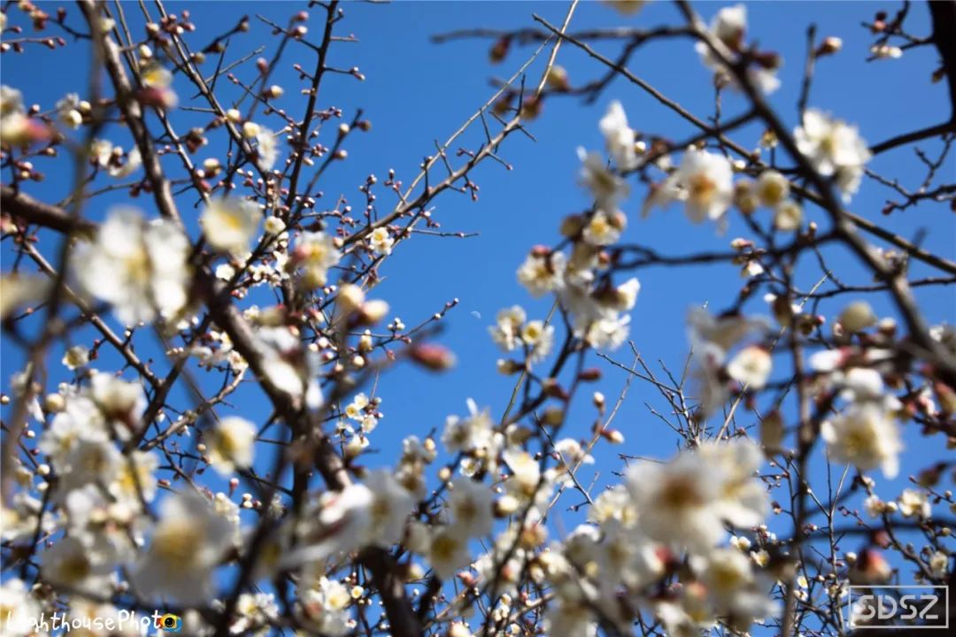 除了園林，來蘇州一定要去的15個打卡地！ 旅遊 第46張