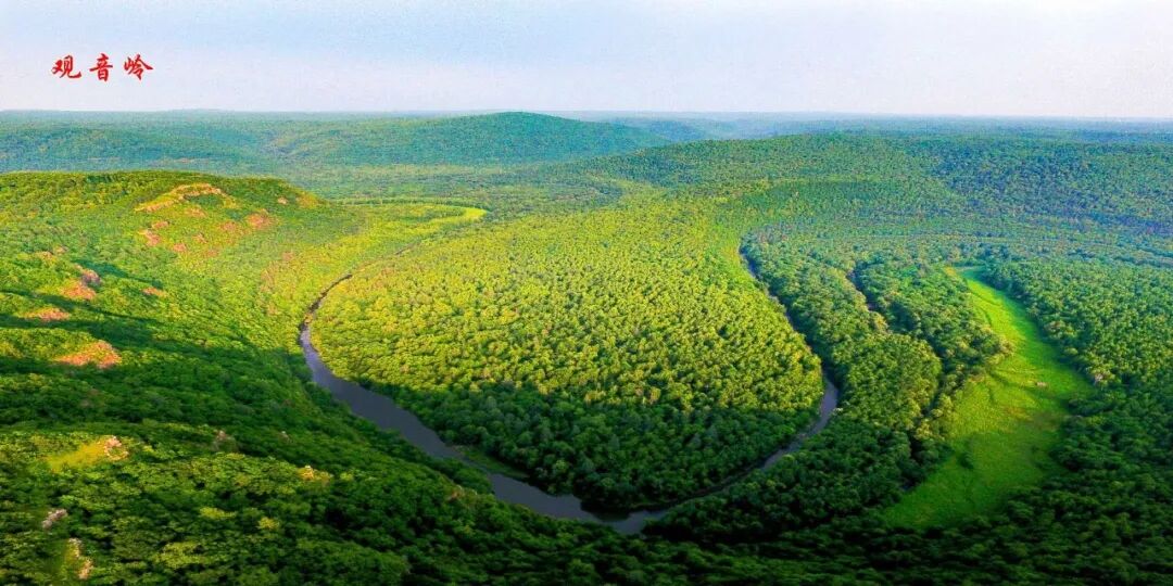 东北虎豹国家公园又上央视啦快来看吧