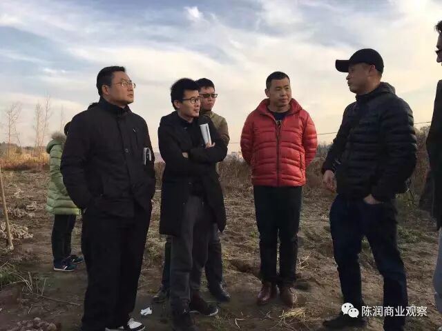 过去几年,谢炳煌已经投入几百万,如果他不再种植