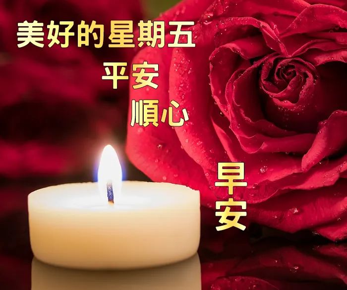 冬天问候关心祝福短信_早安问候祝福关心短信_日常问候语及关心话