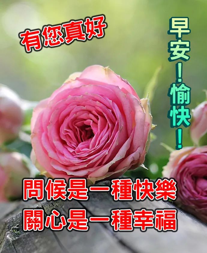 早安问候祝福关心短信_日常问候语及关心话_冬天问候关心祝福短信
