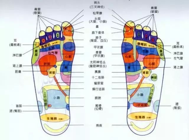 泰國的東西就是牛，1貼逼走濕氣、寒氣，改善睡眠 緩解疲勞 健康 第10張