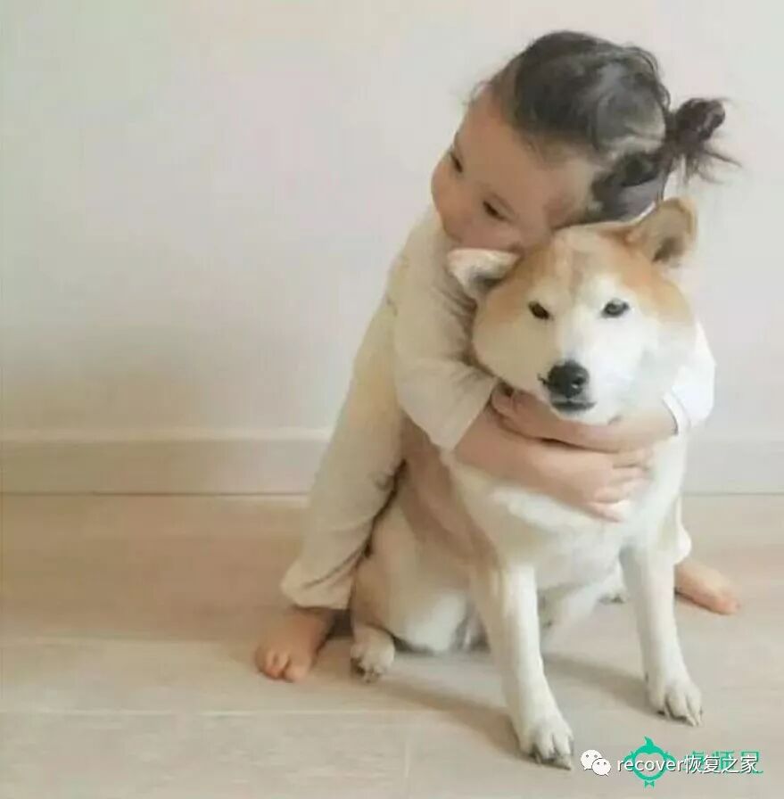 登陆微信手机用什么扫码_登陆微信手机用什么软件_不用手机怎么登陆微信