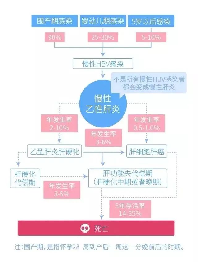 【健康科普】别被无知“肝”扰!,你的小心肝还好吗? 【健康科普】别被无知“肝”扰!,你的小心肝还好吗?