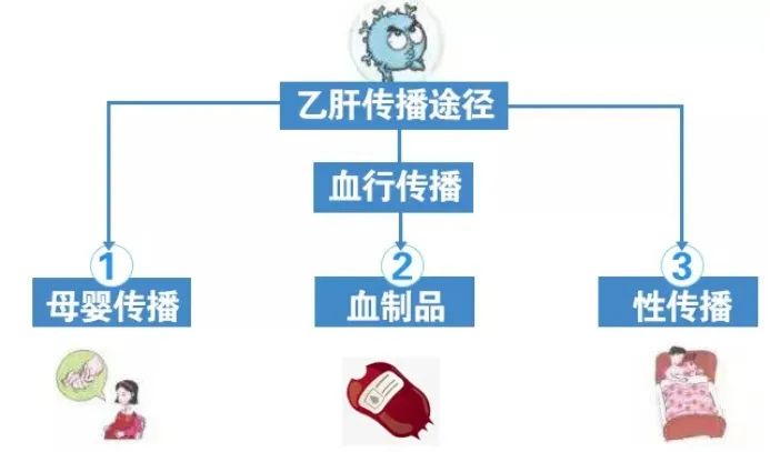 【健康科普】别被无知“肝”扰!,你的小心肝还好吗? 【健康科普】别被无知“肝”扰!,你的小心肝还好吗?