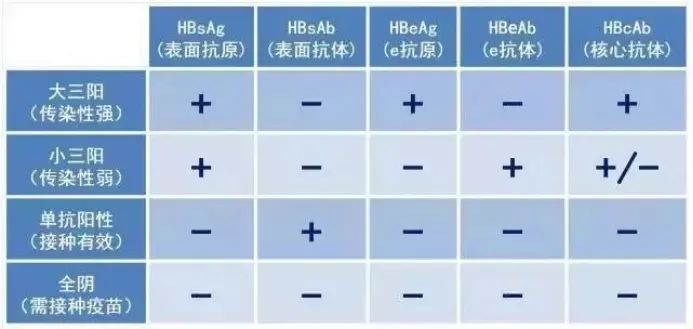 【健康科普】别被无知“肝”扰!,你的小心肝还好吗? 【健康科普】别被无知“肝”扰!,你的小心肝还好吗?