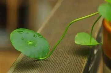 你看到什么，说明你内心就有什么